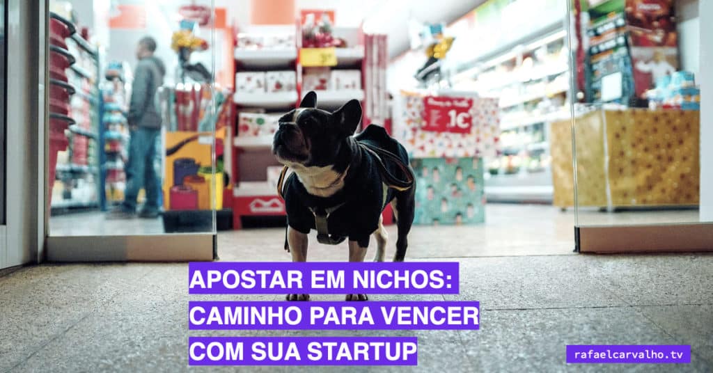Apostar em nichos: caminho para vencer com sua startup