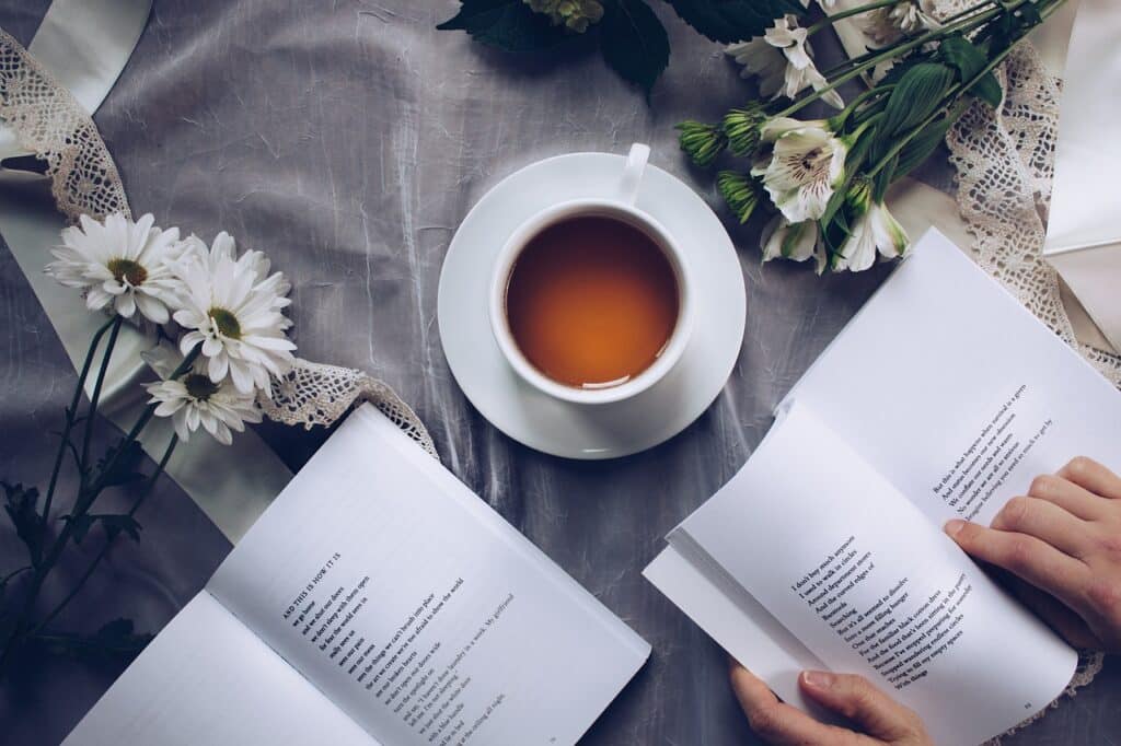 poemas da literatura brasileira